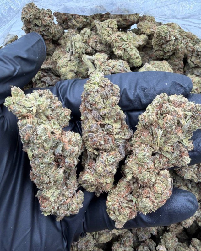 GAS FACE OG DEPS ⛽️