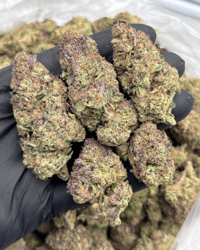 CHERRY FRITTER MIXED LIGHTS 