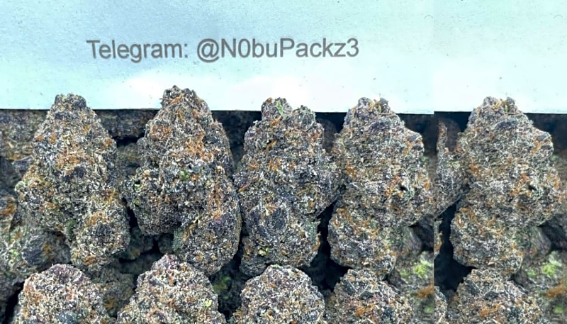 #A15Y Gushers Gass 🍬⛽️