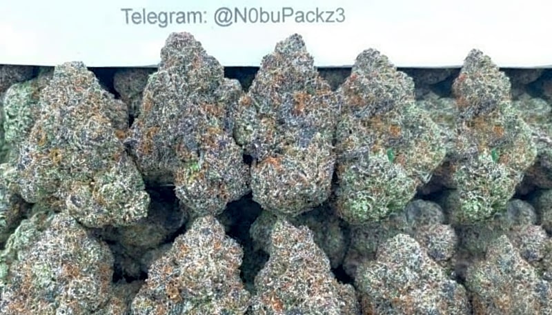 #B10Y Platinum Butter 💍