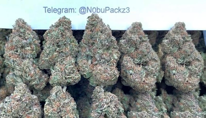 #B12Y Tres Leches 🍰🍮