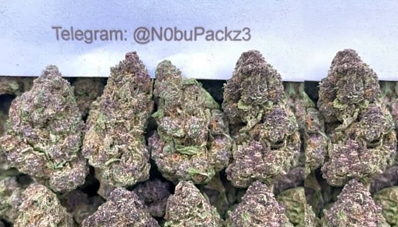 #B14T Girl Scout Glookies 👧🍪