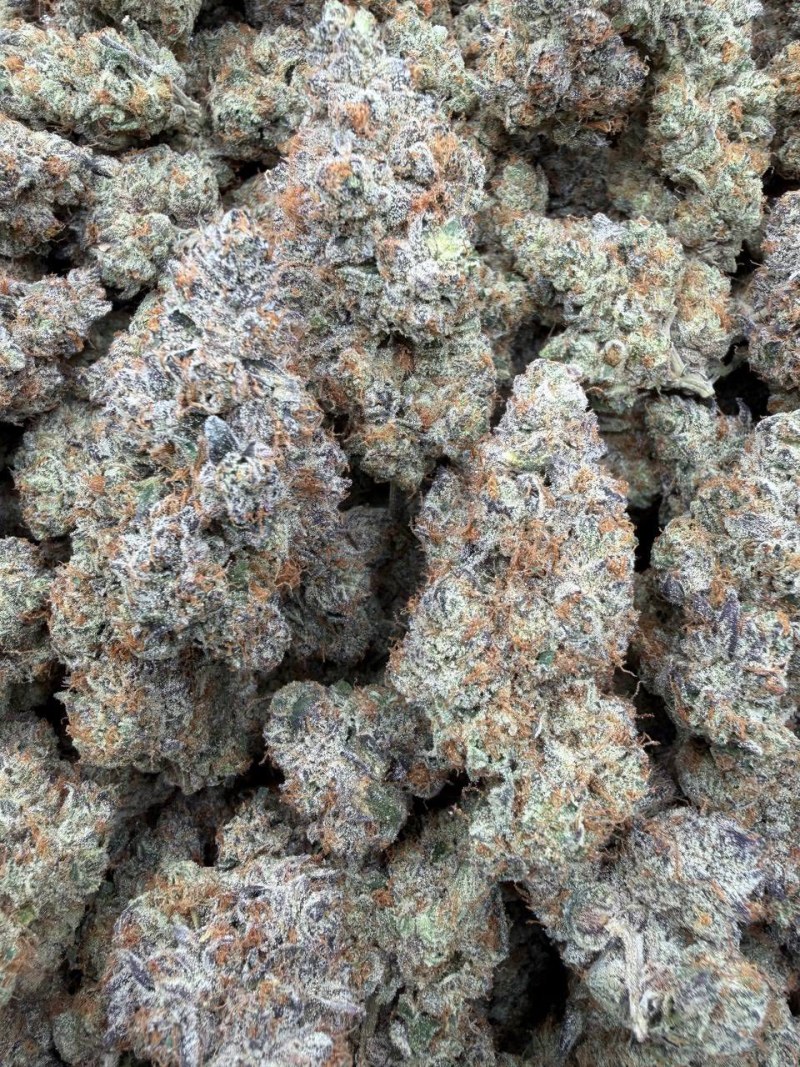 FREEZE CUP 🥶❄️