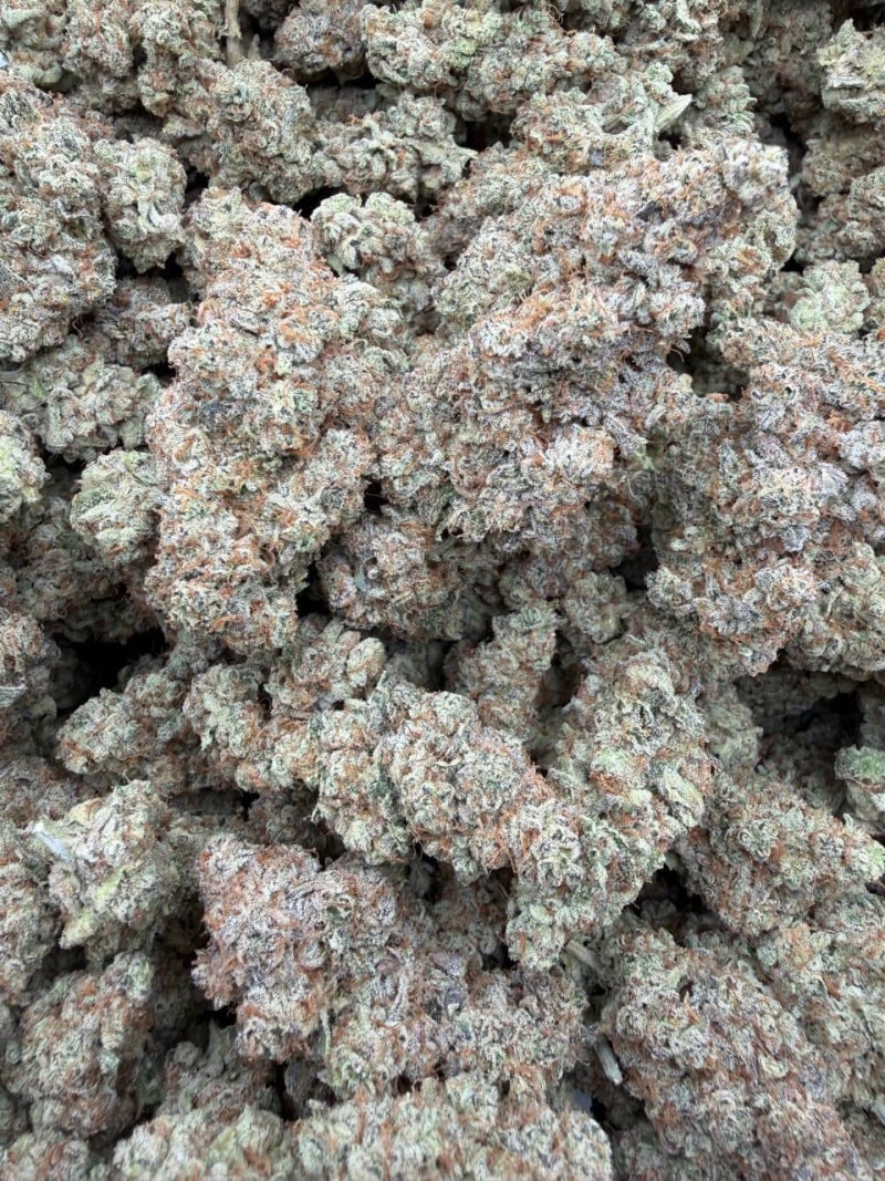 ARTIC WALL 🥶❄️