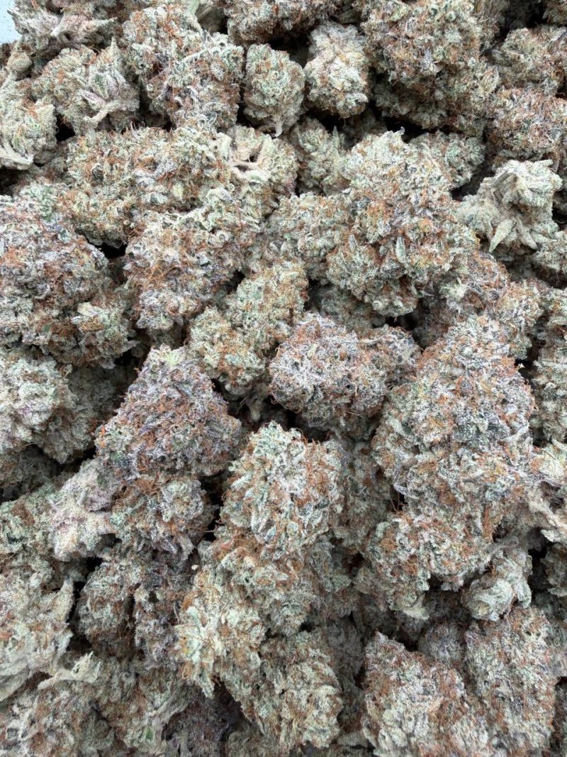 PURPLE DUMP TRUCK ππ»