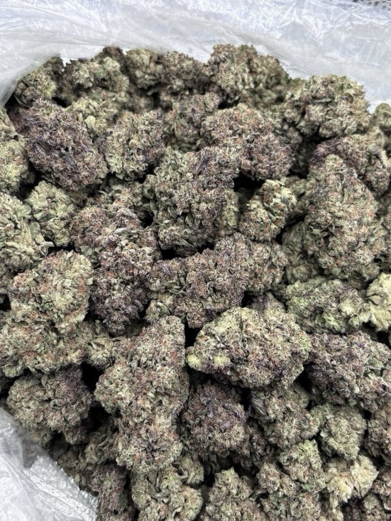 Soft and sticky cure with colorful buds🔥. Bomb mix of cherry runtz and gelato41 terps!