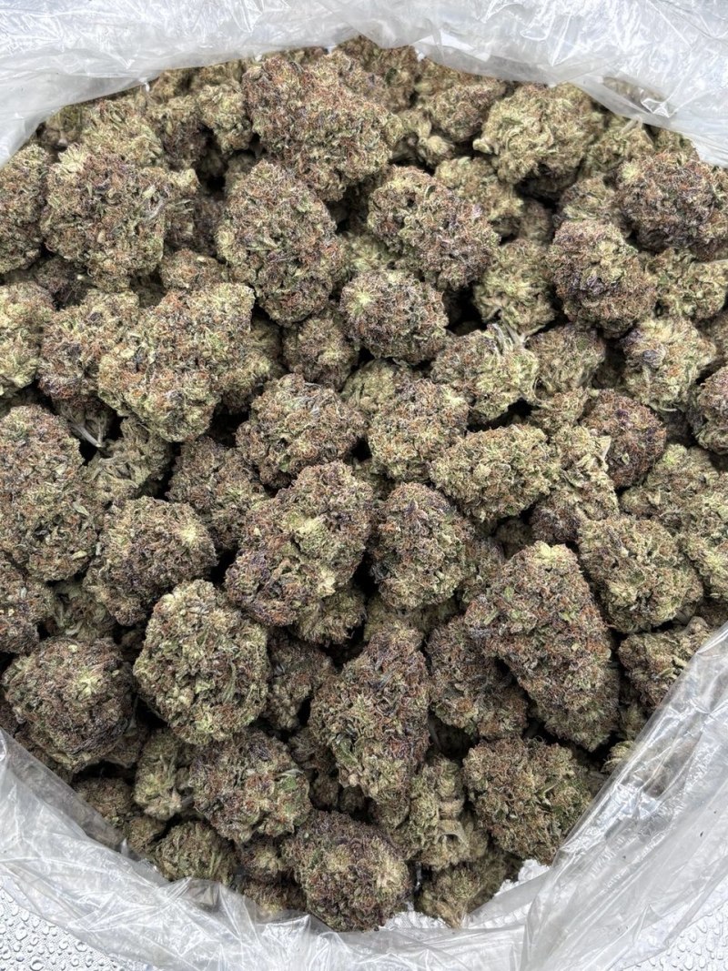 JOLLY RANCHER MIX LIGHTS π