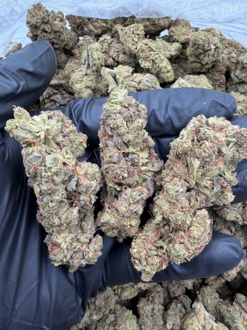 GAS FACE OG DEPS ⛽️