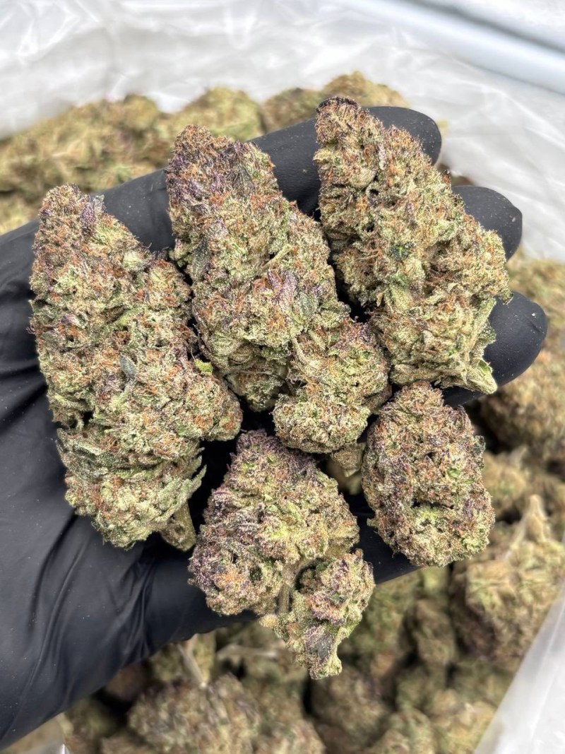 CHERRY FRITTER MIXED LIGHTS