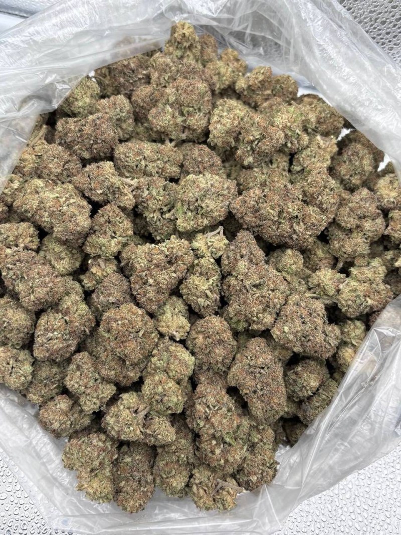 ZMARTIES MIXED LIGHTS 🍬👅