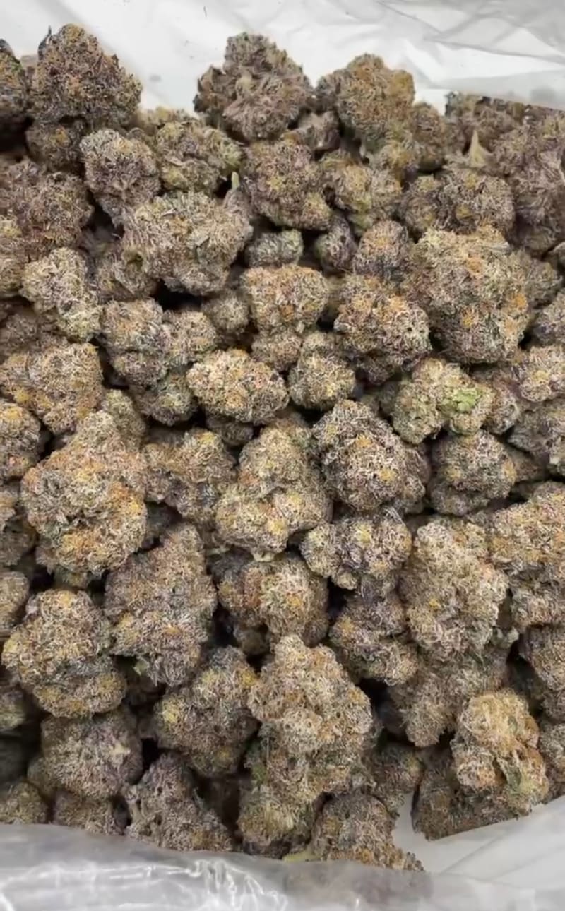 Gogetta candy | Real Duck Distro Gogetta candy - premium flower from Real Duck Distro