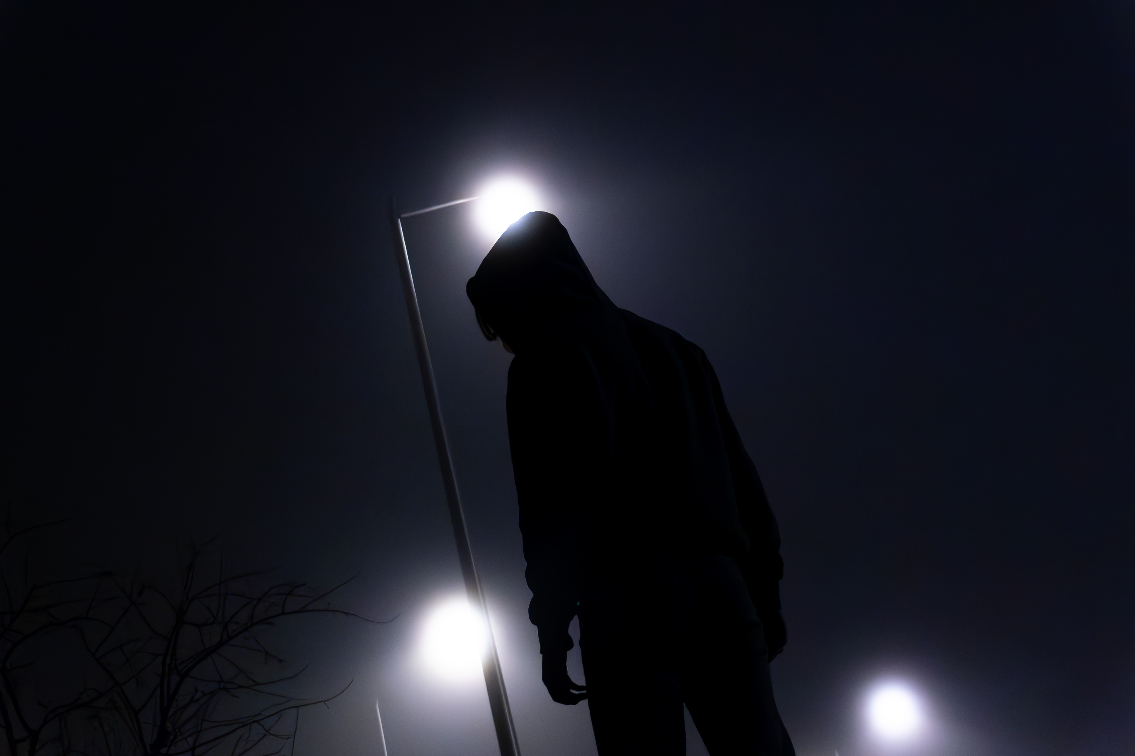 foggy night silhouette