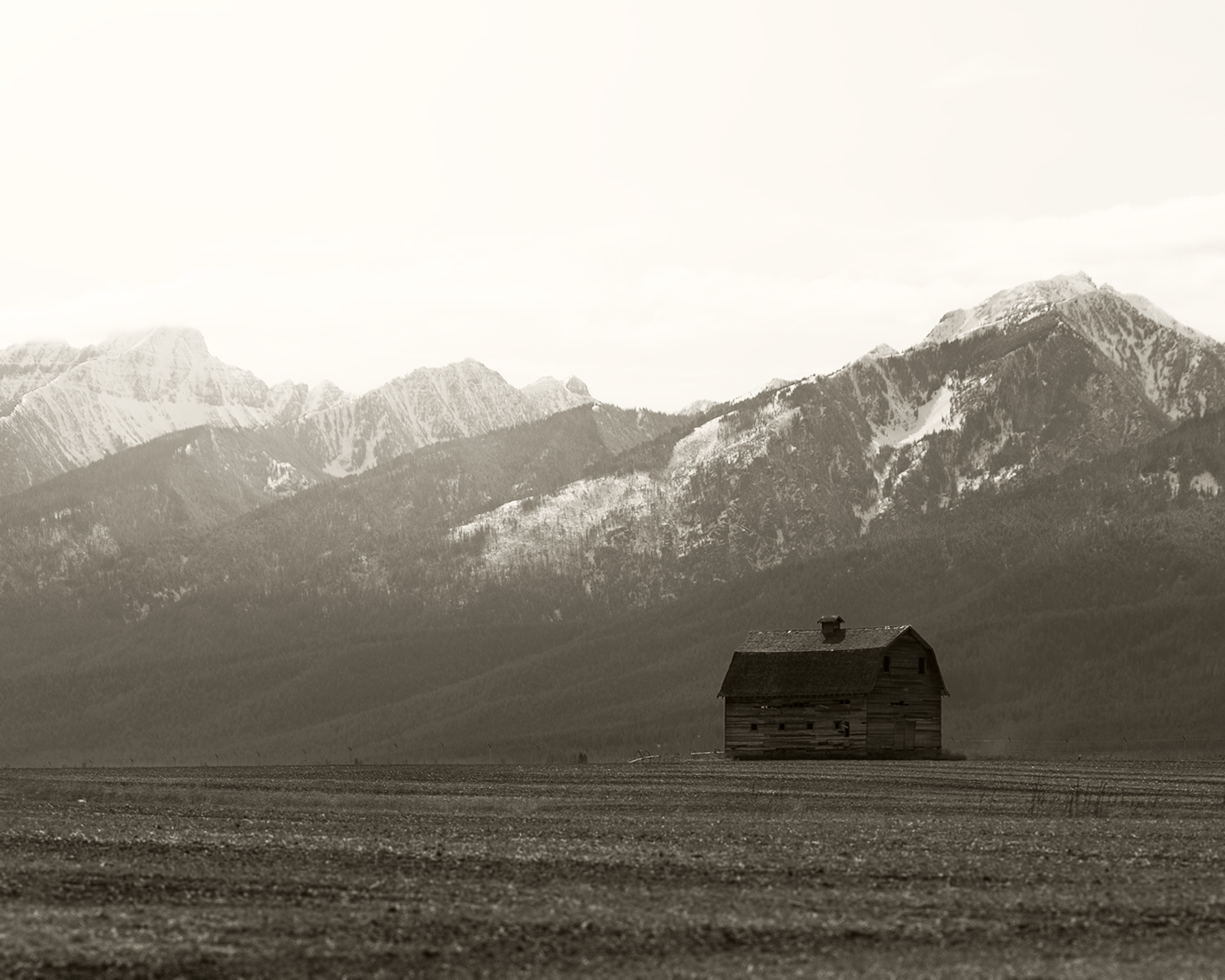 barn in field