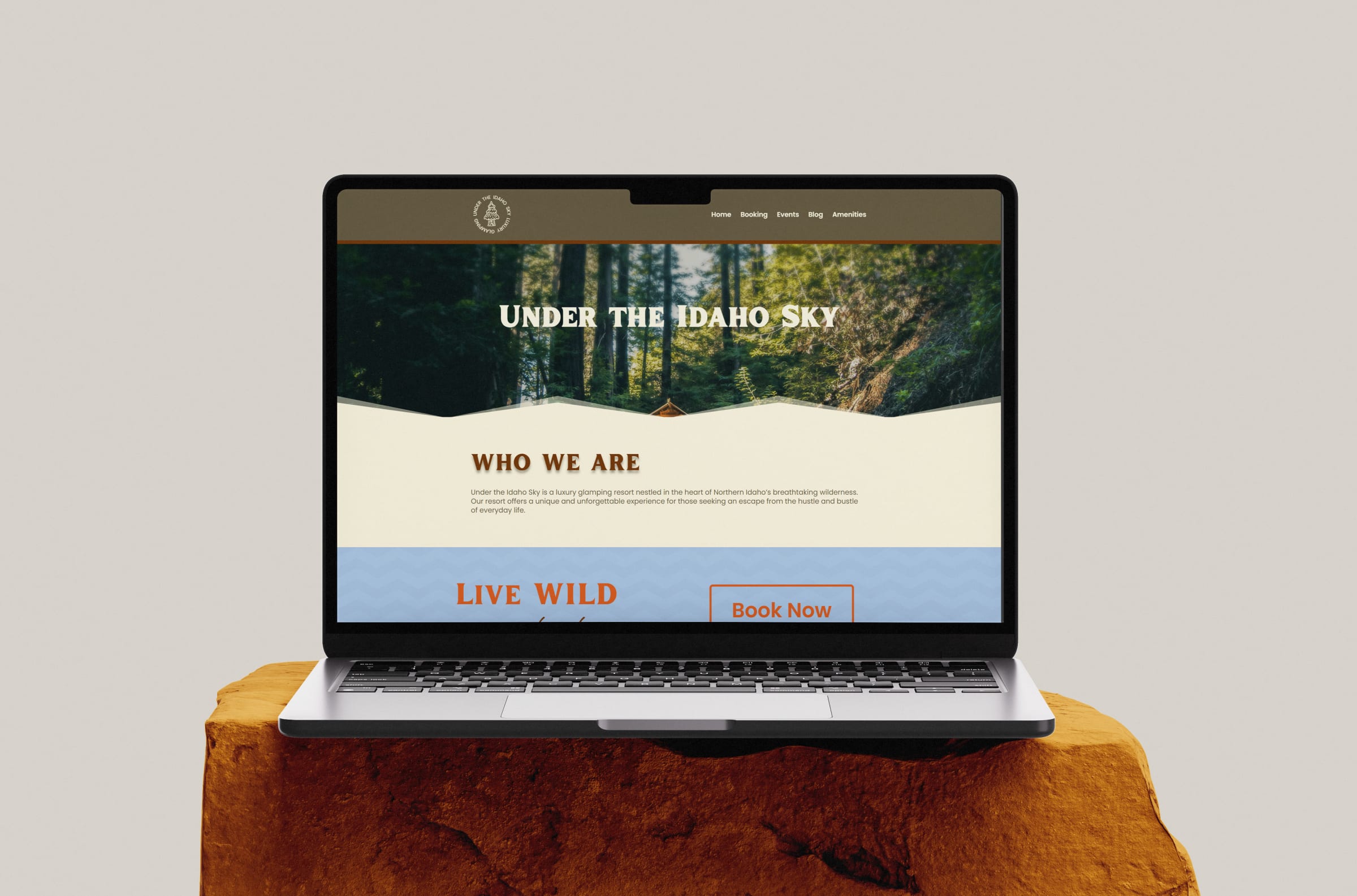 Idaho Sky website featured project preview