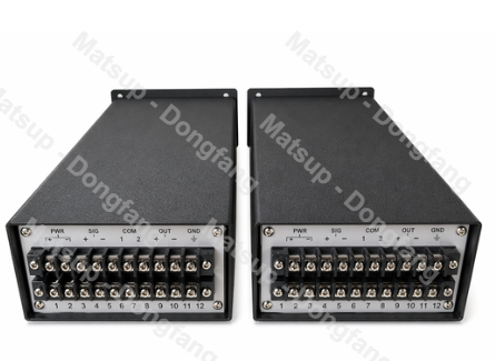 Индикатор RDZW-2Na04-B02-C01-F01