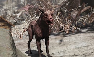 A mutated dog-like creature standing on rocky ground in a desolate, post-apocalyptic landscape with dry vegetation and debris in the background.