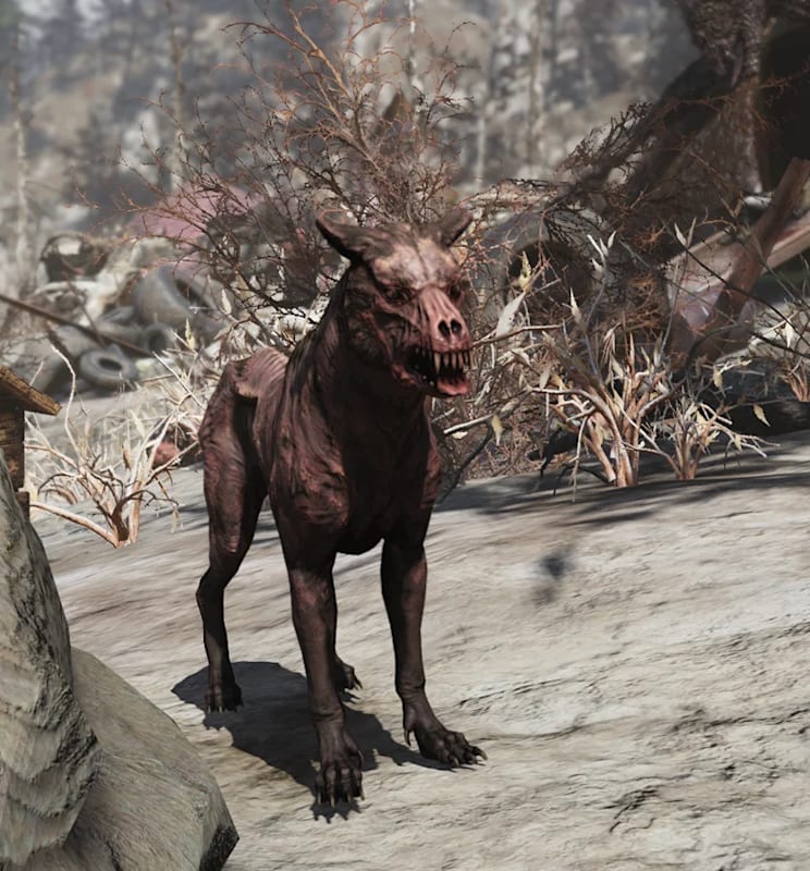 A mutated dog-like creature standing on rocky ground in a desolate, post-apocalyptic landscape with dry vegetation and debris in the background.