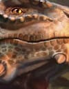 Magicka_Surge_TESL_Article_1315x315.jpg