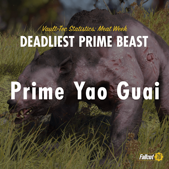FO76 STATS MeatWeek-PrimeYaoGuai