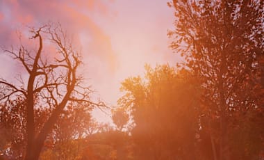 76_LargeHero_Sunlight_1920X870.jpg