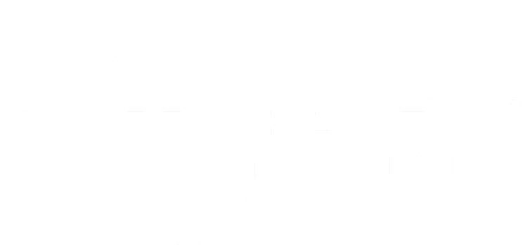 Bethesda Game Studios gear logo