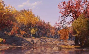 76_LargeHero_RiverTrees_1920X870.jpg