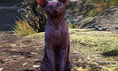 A close-up screenshot of the Sphynx Cat standing at attention in Fallout 76
