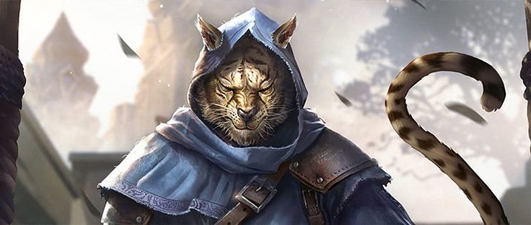 Intro_Deckbuilding_TESL_Article_1315x315.jpg