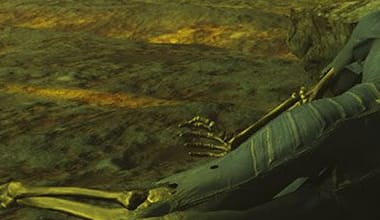 data.images.event.96.Fallout4_SurvivalMode_Header_1315x315.jpg
