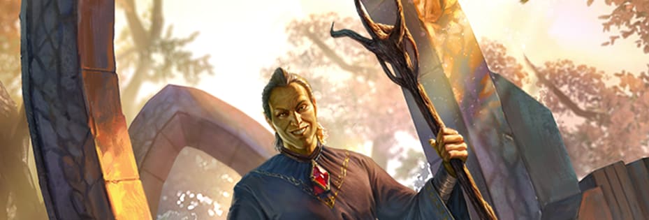 TESL_Mankar_Camoran_Article_1315x315.png