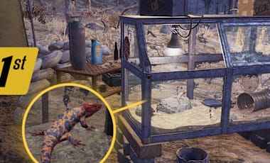 Fallout 76 screenshot showing a glass and metal terrarium outdoors in a barren landscape. Inside are rocks, a dish, a tin can, and a hanging lamp. A close-up inset shows an orange-and-blue patterned pet lizard inside the terrarium.