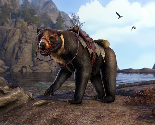 ESO_ArticleDashboard_BlackFriday17_619x499.png