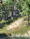 eso-summerset-guide-1920.jpg