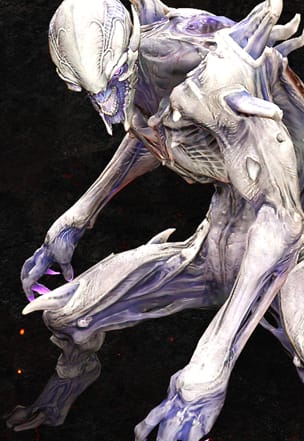 DE.TAG.P2.StoneImp 304x540