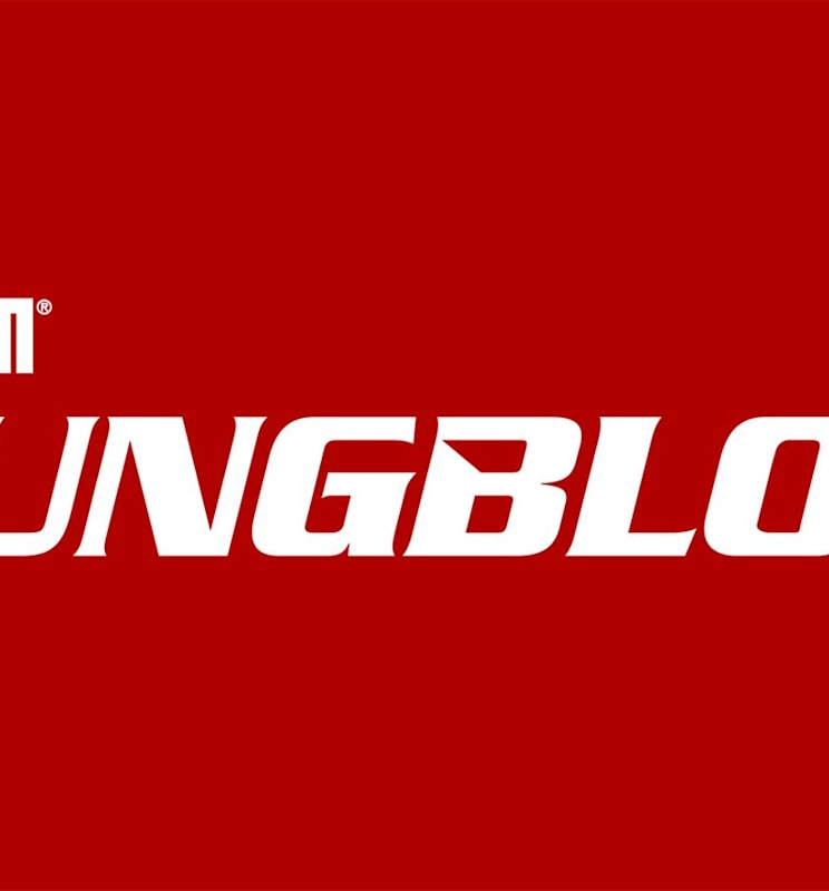 Youngblood_Announce_Logo_Dash_Art_1920x870.jpg