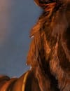 ESL_Article_JanuaryUpdate_1315x315.png