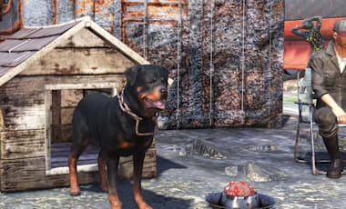 A screenshot in Fallout 76 featuring a Rottweiler dog, a wooden dog house, and a dog bowl filled with mysterious meat.