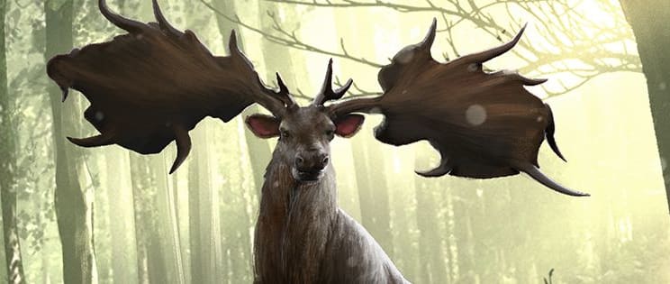 TESL_Wilds_Incarnate_ARTICLE_1315x315.jpg