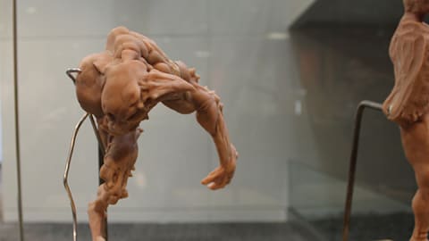 DE DOOMorabilia Clay in-body 1