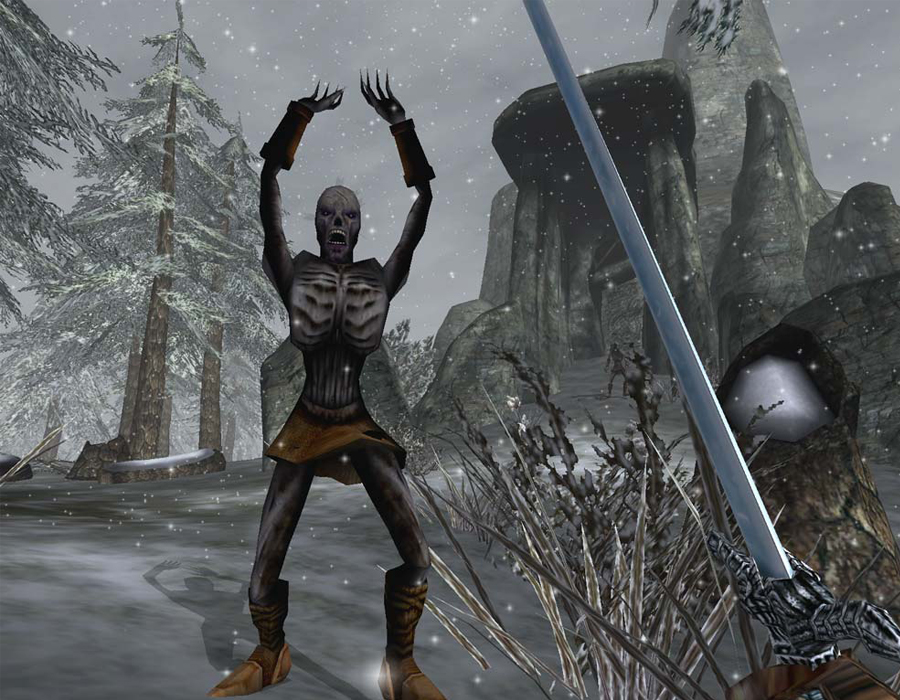 Screenshot Draugr at Skogsdrake