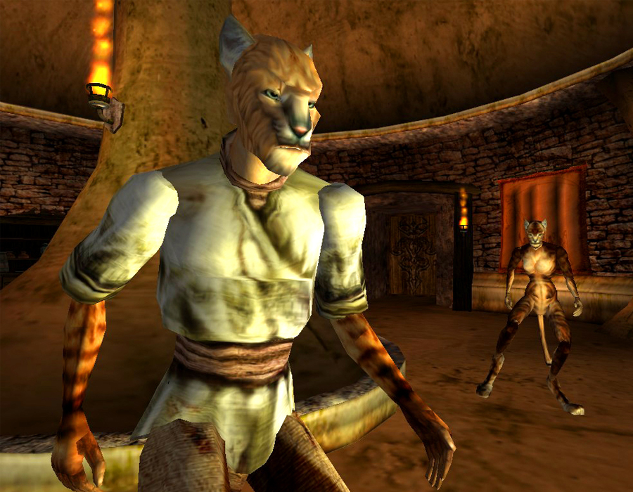 Screenshot Suthay-Raht Khajiit