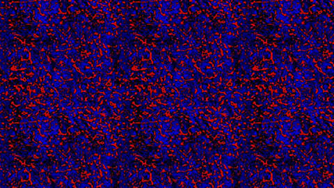 A pulsating interlacing of stark red and blue: FIREBLU