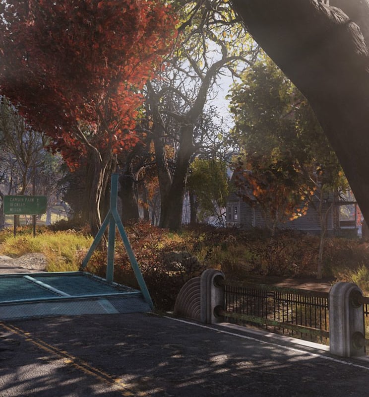 76_LargeHero_ForestTree_1920X870.jpg