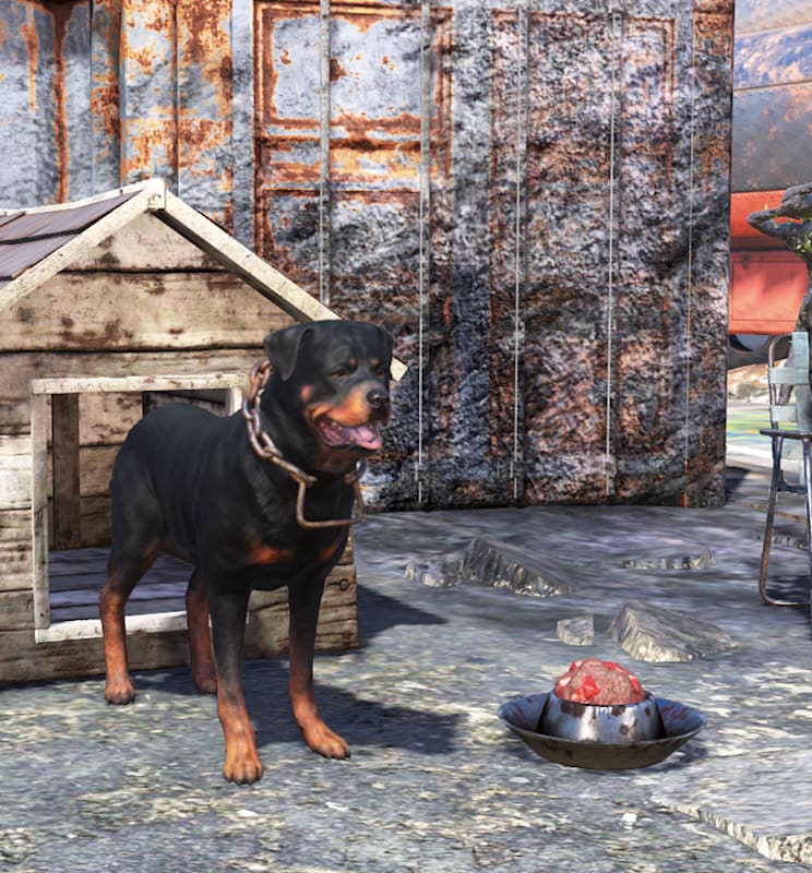 A screenshot in Fallout 76 featuring a Rottweiler dog, a wooden dog house, and a dog bowl filled with mysterious meat.