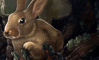 DE_Xous54_Daisy_HERO_1920x870.jpg