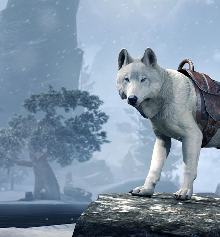 Twitch_E3_Hero_1920x870.jpg