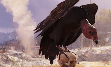 Screenshot of a Turkey Vulture in Fallout 76. It's perched on a wooden pole with a skull on it