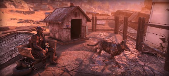 76 ReclaimedBackyard Bundle 1920x870