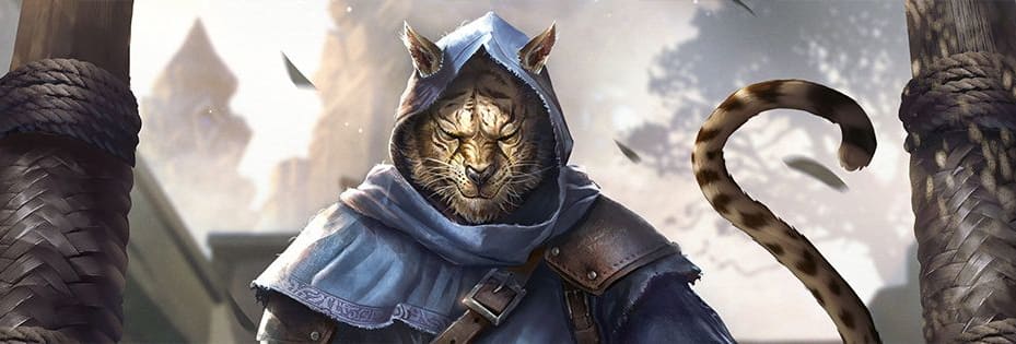 Intro_Deckbuilding_TESL_Article_1315x315.jpg