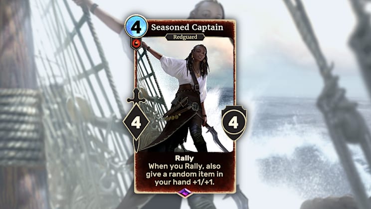 TESL Seasoned Captain EN
